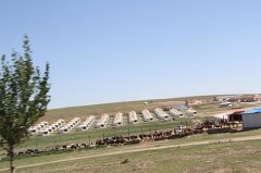 2014年首批优秀员工内蒙古大草原之旅发来照片共欢